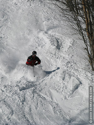 sugar bush vermont