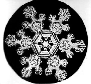 Snowflake Bentley snowflake image