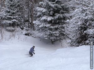 Powder skiing at Smugglers' Notch, Vermont
