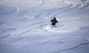 Powder skiing in Stowe, Vermont