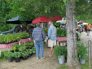 Stowe Farmers' Market in Vermont