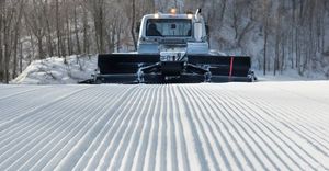 New groomers at Bromley and Stratton