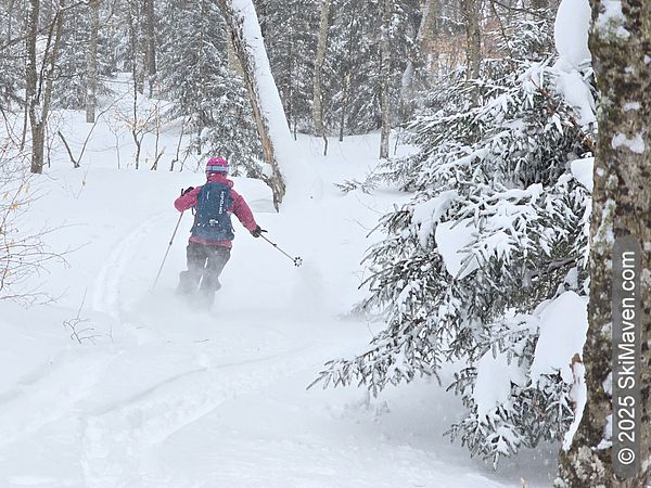 Skier creates a cloud of snow as she skis down hill