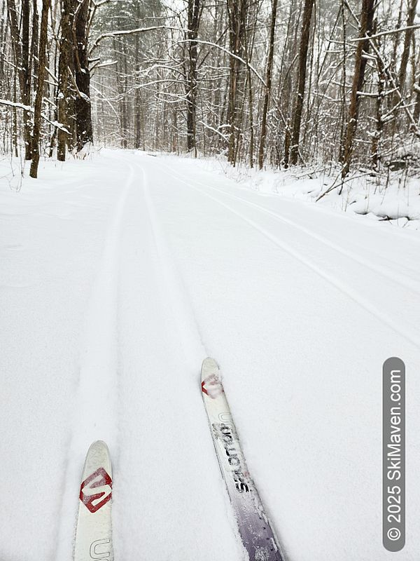 A pair of Nordic skis in a snowy ski track in woods