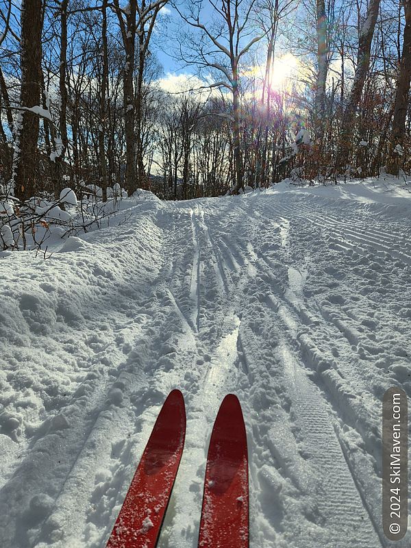 The tips of some red skis on partially groomed cross-county trail