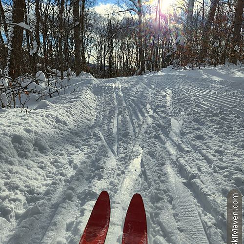 The tips of some red skis on partially groomed cross-county trail