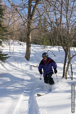 Vermont ski