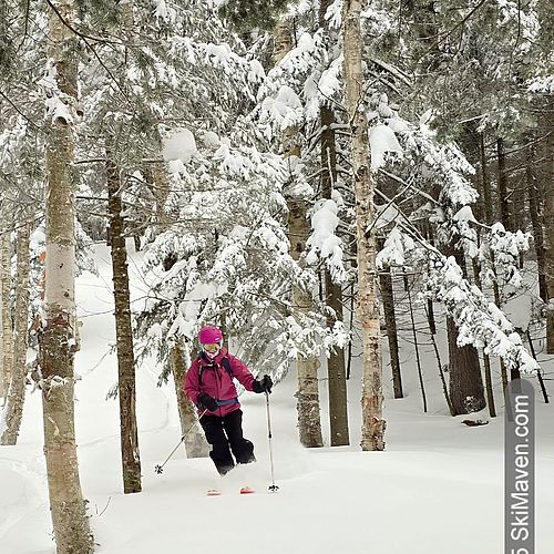 Skier makes turn in snowy woods