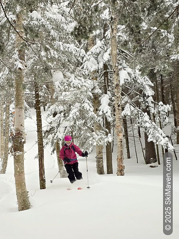 Skier makes turn in snowy woods