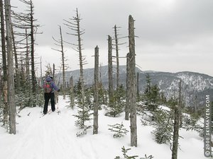 Backcountry skiing in Vermont