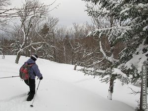 On the Catamount Trail between Bolton Valley and Stowe