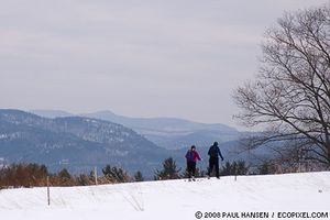 Spring cross-country conditions in January