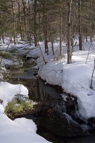 Sunny day, pretty brook at Bolton