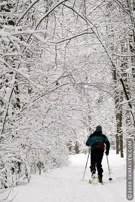 Fresh powder in Vermont