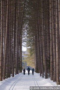 Skimaven Nordic Skiing With A French Flair At Mont Tremblant